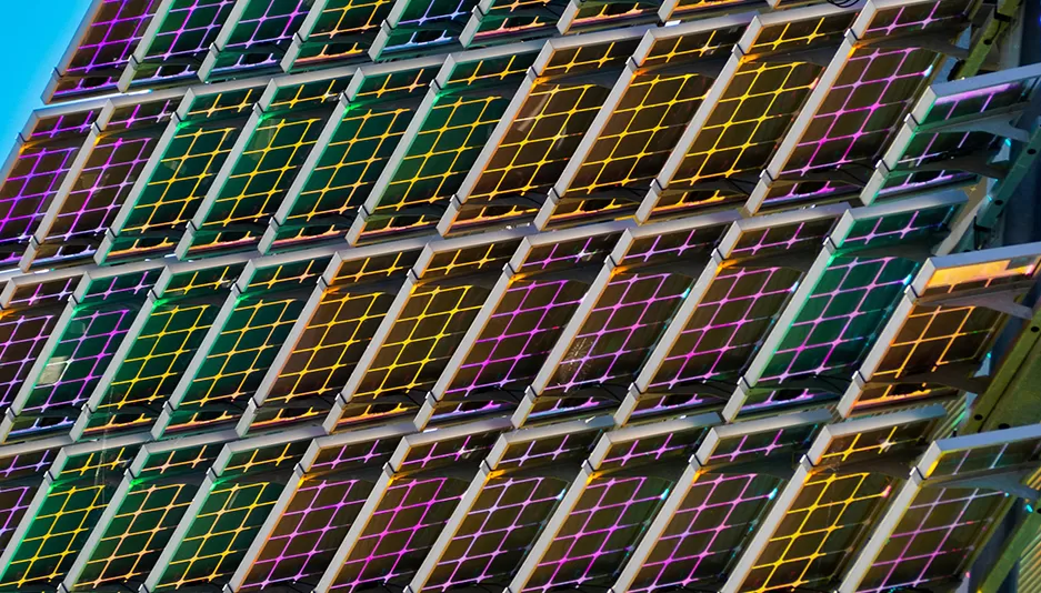 Distribución regional y paisaje competitivo